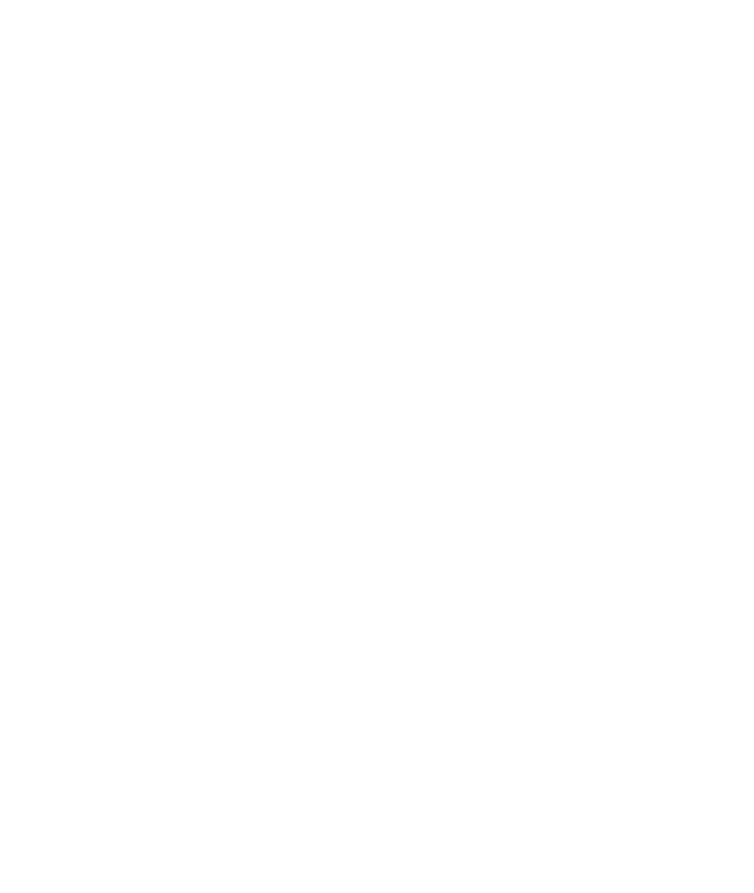 malenz vodka formula